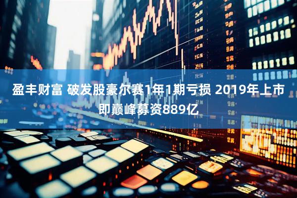 盈丰财富 破发股豪尔赛1年1期亏损 2019年上市即巅峰募资889亿