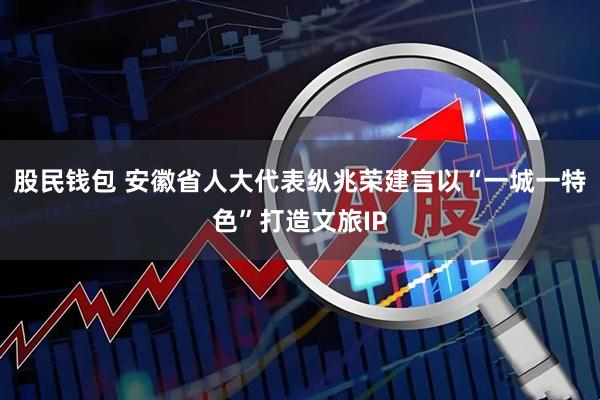 股民钱包 安徽省人大代表纵兆荣建言以“一城一特色”打造文旅IP