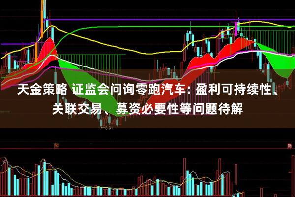天金策略 证监会问询零跑汽车: 盈利可持续性、关联交易、募资必要性等问题待解