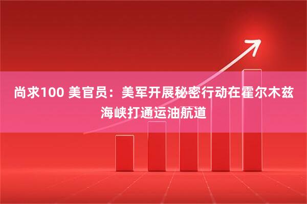 尚求100 美官员:美军开展秘密行动在霍尔木兹海峡打通运油航道